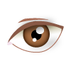 Цвет глаз: карие